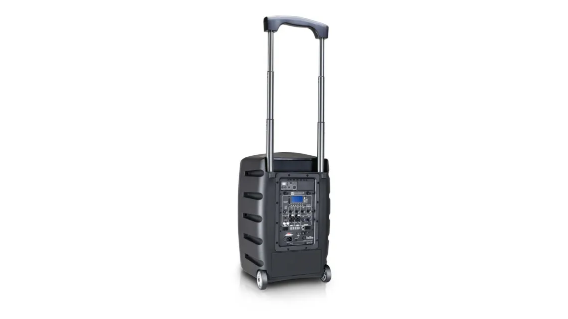LD Systems Road Buddy 10 HS