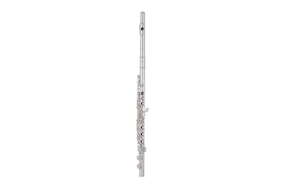 Pearl Quantz B505E-HC Flute