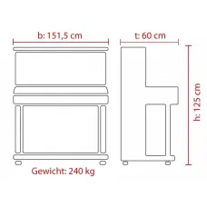 Feurich Piano Design 125 Schwarz