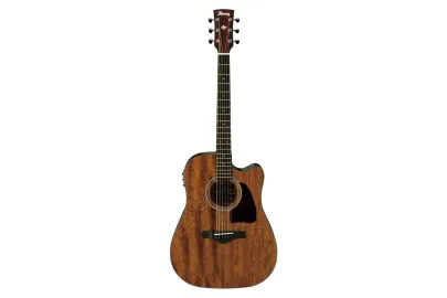Ibanez AW54CE-OPN