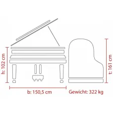 Feurich Flügel Dynamic I 162 schwarz (Chrom)