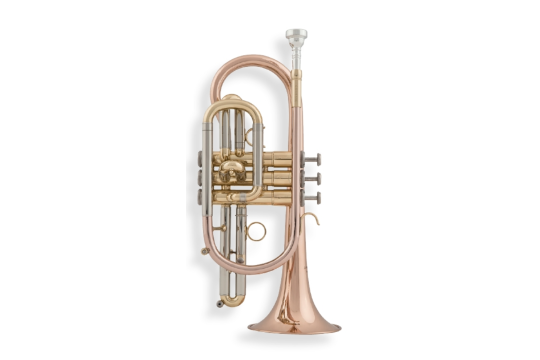 aS Arnolds & Sons ACR-655 B-Kornett Goldmessing