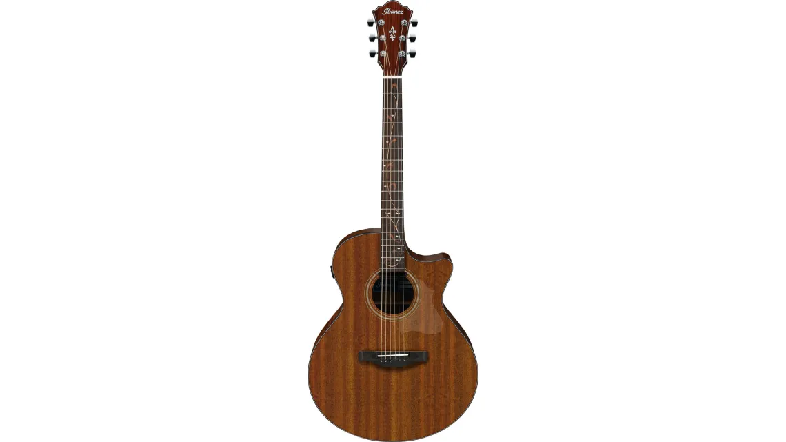 Ibanez AE295-LGS