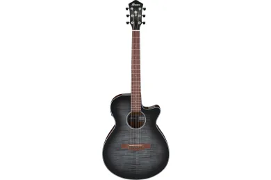 Ibanez AEG70-TCH