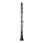 aS B-Klarinette Terra ACL-206