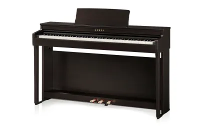 Kawai CN-201 R