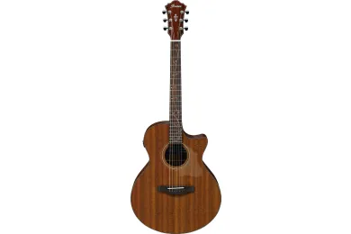 Ibanez AE295-LGS