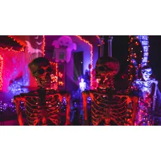 Chauvet DJ Gobo Zoom 2