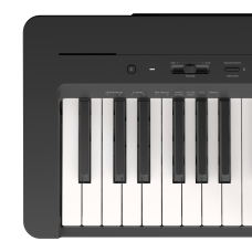Yamaha P-145BTB