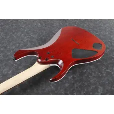 Ibanez RGA42FM-TGF
