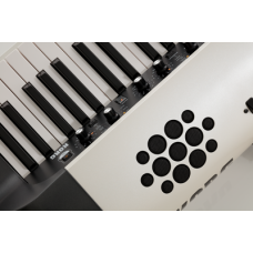 Korg SV2-73S