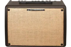 Akustikgitarren Verstärker
