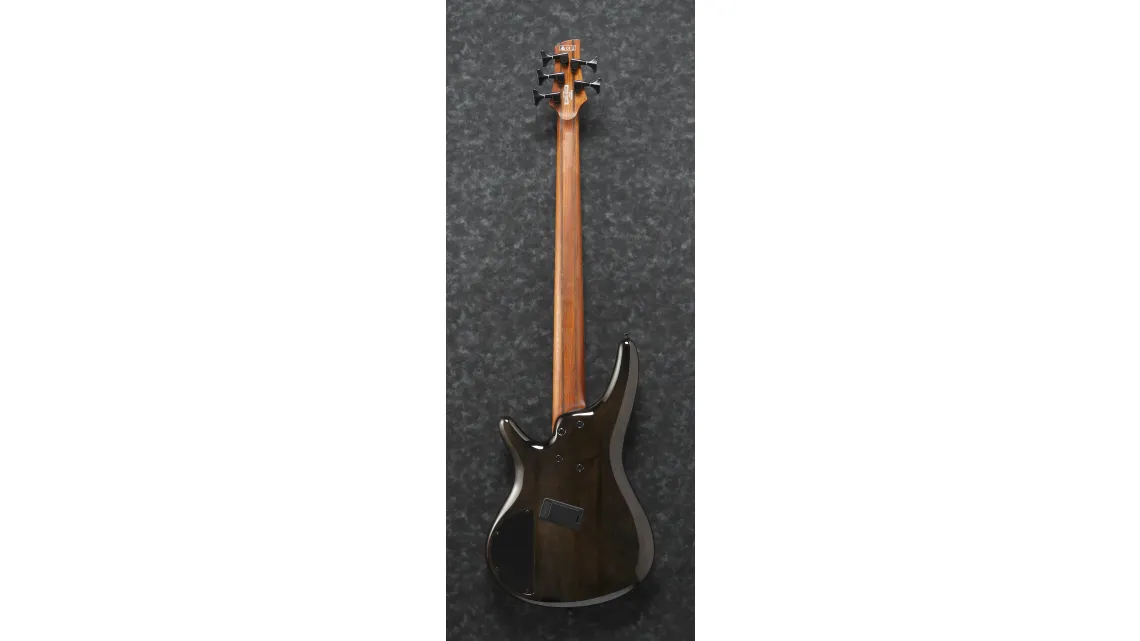 Ibanez SRMS805-DTW Workshop