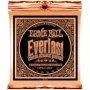 Ernie Ball EB2550 Everlast Coated 80/20 Bronze