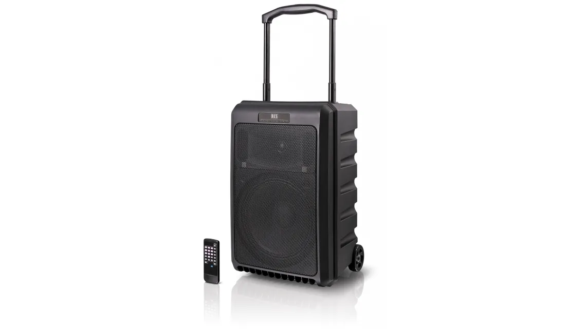 RCS DSC-150 S3 Digital Sound-Center 150