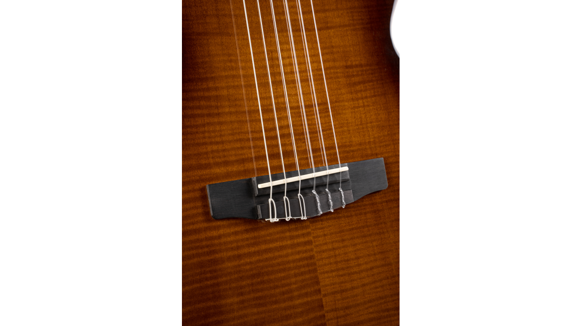 CORT Sunset Nylectric DLX E-Gitarre TAB Preamp Gigbag
