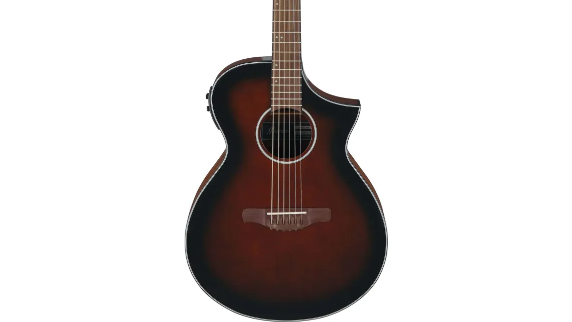 Ibanez AEWC11-DVS
