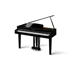 Kawai DG-30