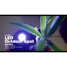 Eurolite LED IP65 Spot 15W RGBW