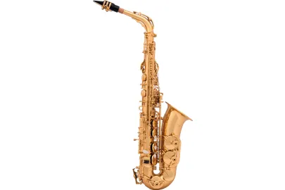 A&S Arnolds & Sons AAS-110 Alt-Saxophon