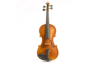 Viola