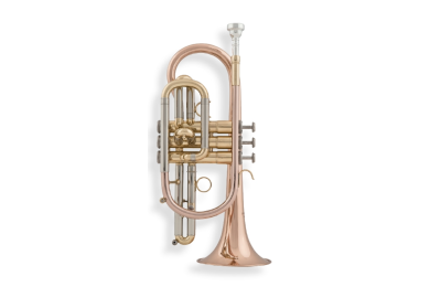 aS Arnolds & Sons ACR-655 B-Kornett Goldmessing