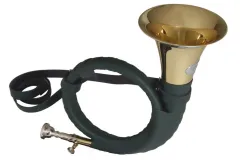 Fürst Pless Hörner