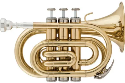 A&S Arnolds & Sons ATR-200 Taschentrompete B-Ware