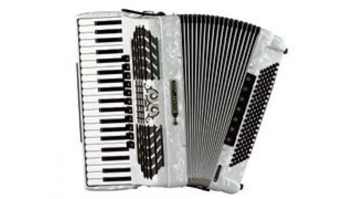 Bugari Akkordeon "Championfisa" 240 CH