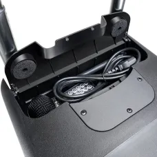 LD Systems Road Buddy 10 HHD 2