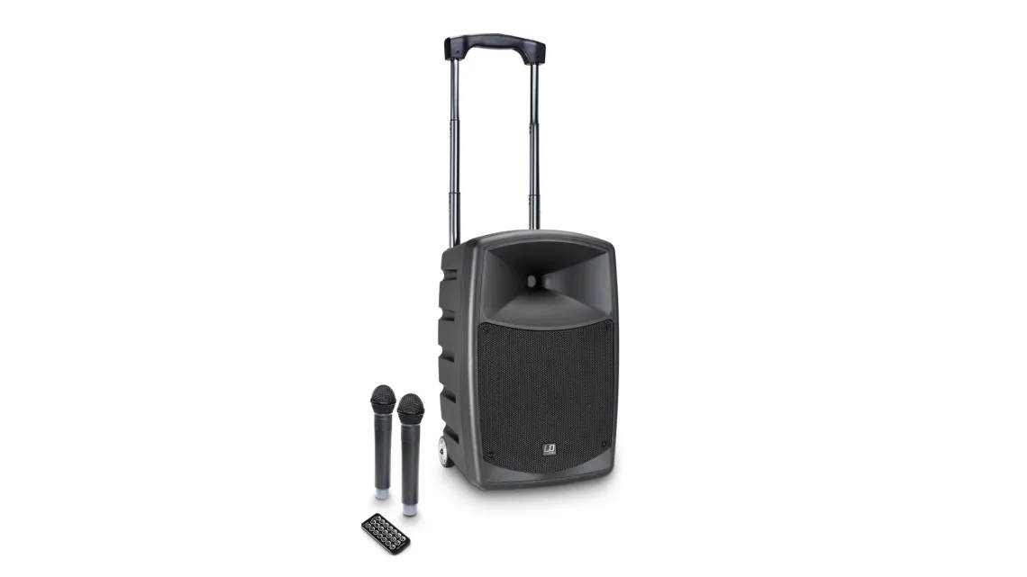 LD Systems Road Buddy 10 HHD 2 B5