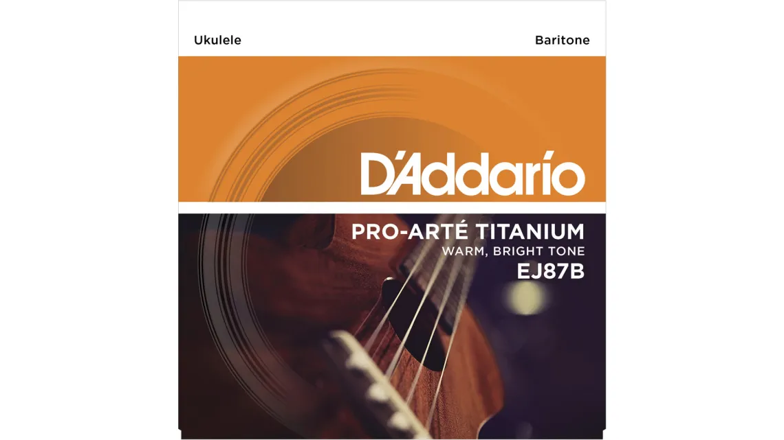 Daddario EJ87B