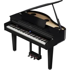 Roland GP-6-PE B-Stock