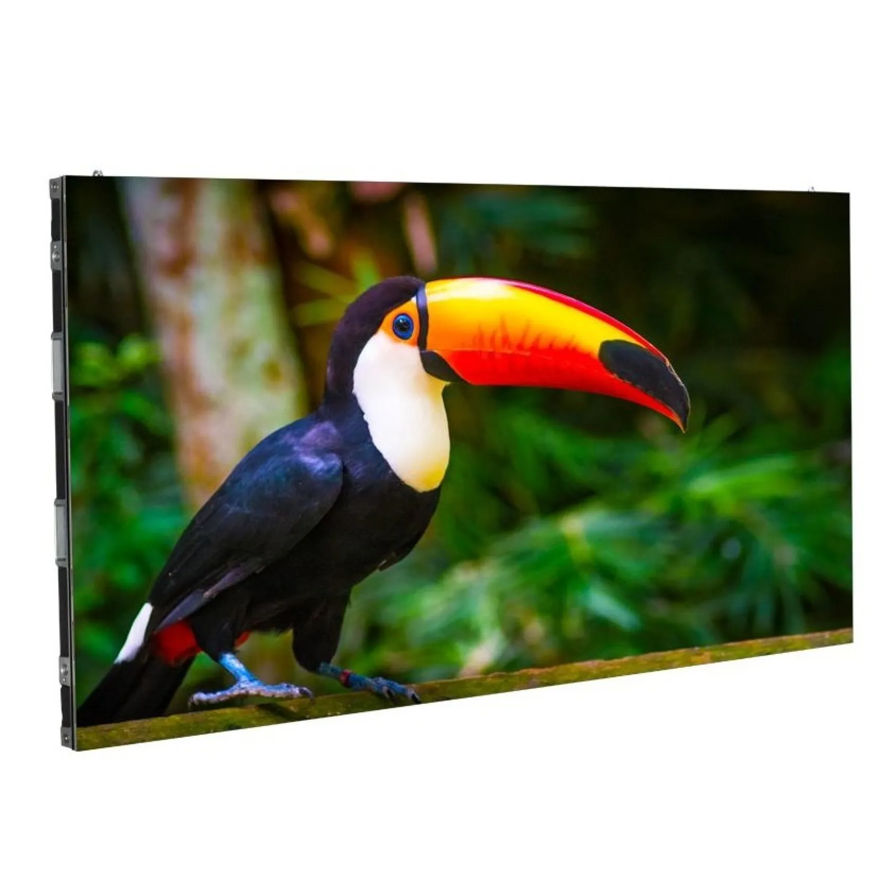 ADJ WMS1 LED Indoor Video Panel