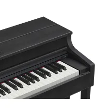 Casio AP-470 BK