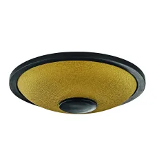 MEINL Small Steel Tongue Drum - Gold