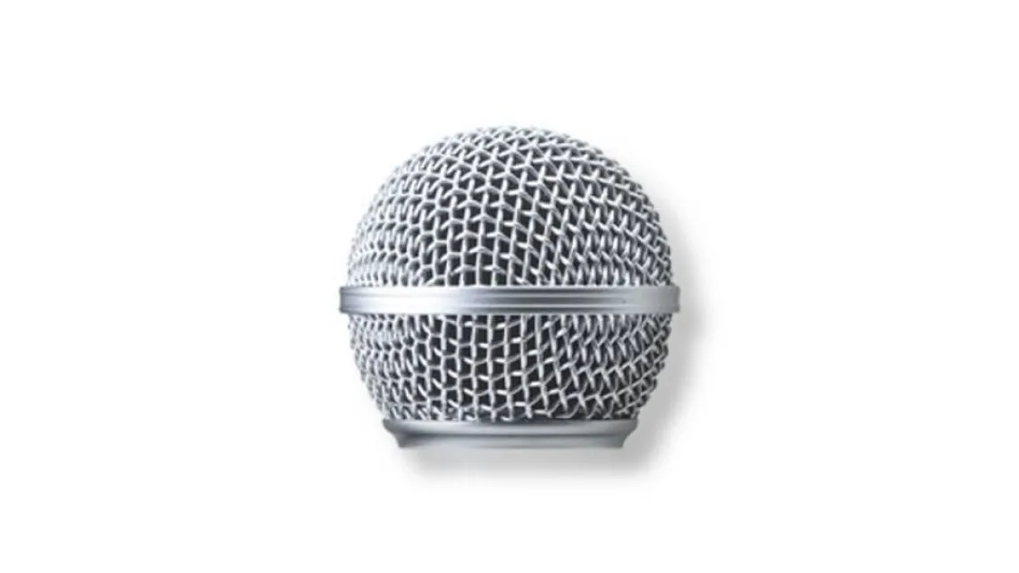 Shure RK143G Einsprachekorb für SM58