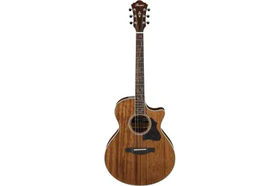 Ibanez AE245-NT
