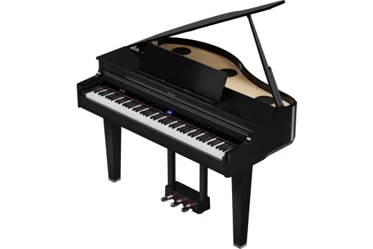 Roland GP-6-PE B-Stock
