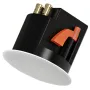 Audac celo 2