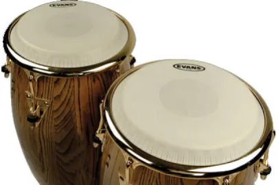 Evans Congafell 9,75" f. 10" Conga