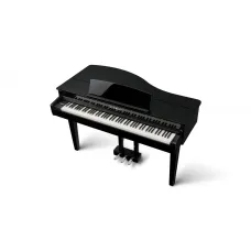Kawai DG-30