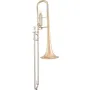 A&S Arnolds & Sons ASP-703 B-Posaune Junior B-Ware
