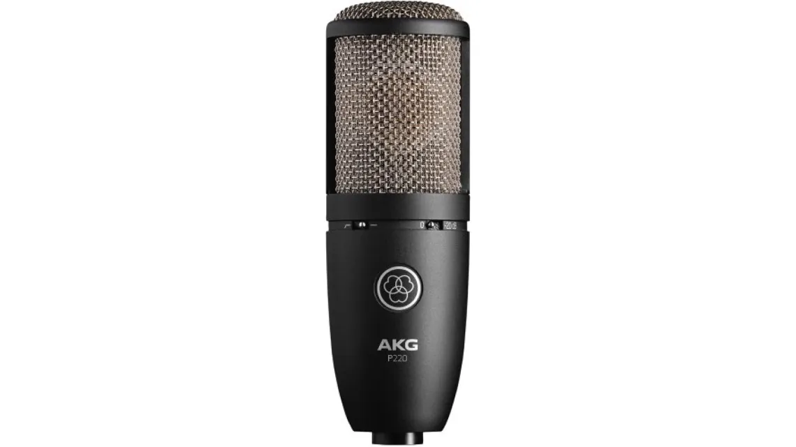 AKG P220