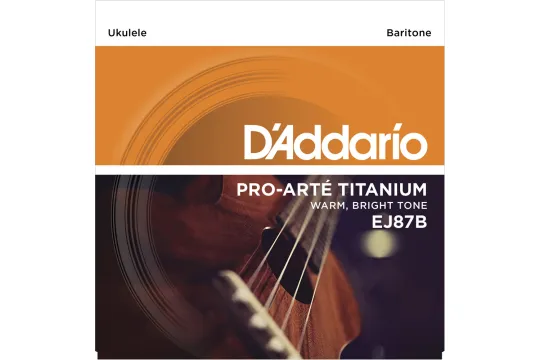 Daddario EJ87B