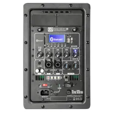 LD Systems Road Buddy 10 Basic