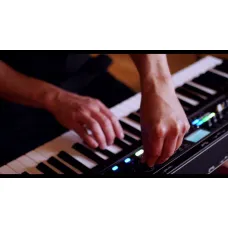 Yamaha CK88