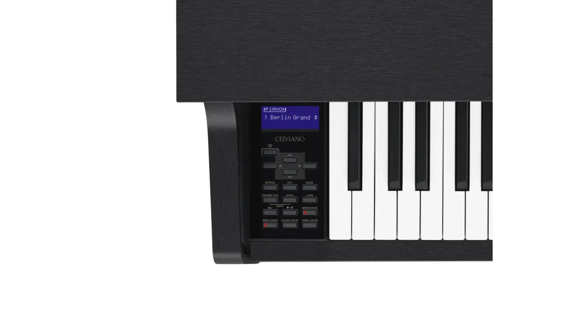 Casio GP-310BK