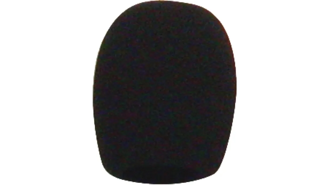 EV Schaumstoff Popfilter (schwarz) für PL37
