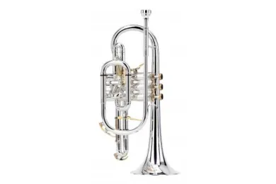 Besson BE2028-2 Prestige Bb-Kornett